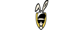 Slot bunny